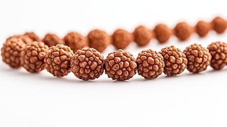 Rudraksha and Special Stones Banner